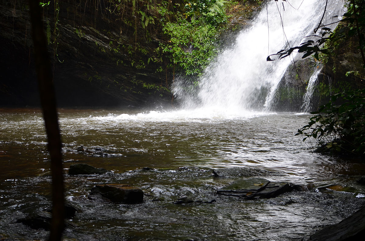 Durch den Urwald zum Wasserfall