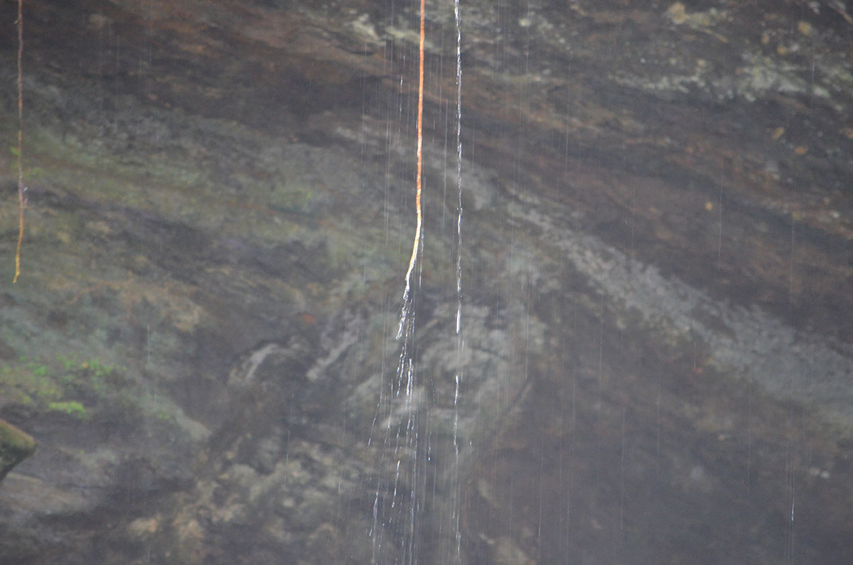 Durch den Urwald zum Wasserfall