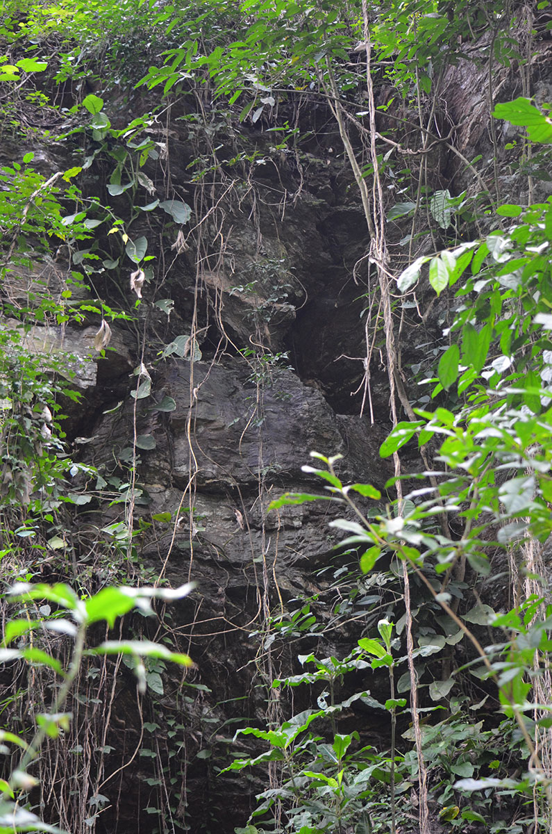 Durch den Urwald zum Wasserfall