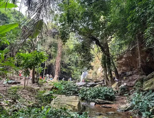 Reise ins grüne Togo – Programm für die September-Reise 2026