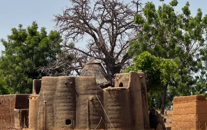 Tata-Lehmburg im Koutammakou mit Baobab