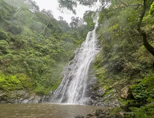 Wasserfall Aklowa – Naturwunder im grünen Herzen Togos